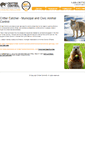 Mobile Screenshot of crittercatcher.com